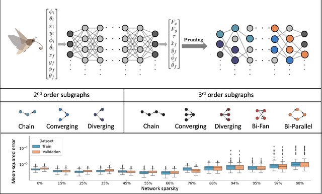 Figure 1 for Motif distribution and function of sparse deep neural networks