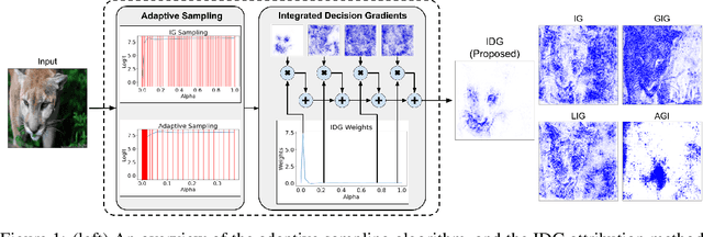 Figure 1 for Integrated Decision Gradients: Compute Your Attributions Where the Model Makes Its Decision