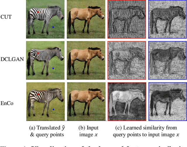 Figure 1 for Constraining Multi-scale Pairwise Features between Encoder and Decoder Using Contrastive Learning for Unpaired Image-to-Image Translation