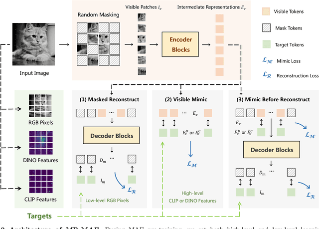 Figure 3 for Mimic before Reconstruct: Enhancing Masked Autoencoders with Feature Mimicking