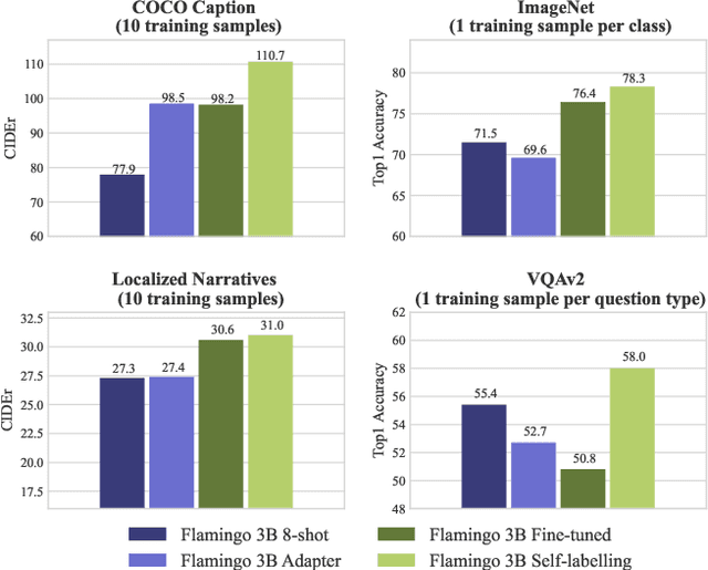 Figure 1 for Making the Most of What You Have: Adapting Pre-trained Visual Language Models in the Low-data Regime