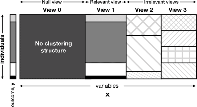 Figure 1 for Bayesian outcome-guided multi-view mixture models with applications in molecular precision medicine