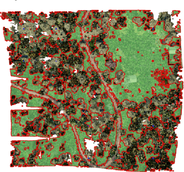 Figure 3 for Forest Inspection Dataset for Aerial Semantic Segmentation and Depth Estimation