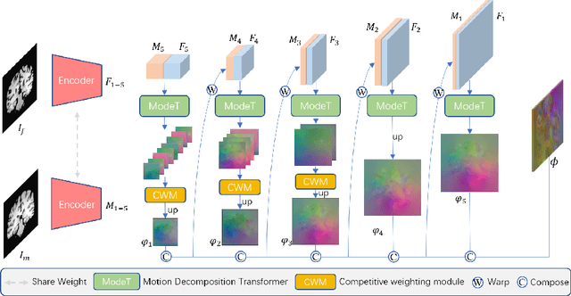 Figure 1 for ModeT: Learning Deformable Image Registration via Motion Decomposition Transformer