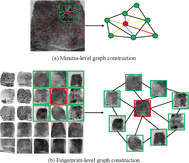 Figure 1 for MRA-GNN: Minutiae Relation-Aware Model over Graph Neural Network for Fingerprint Embedding