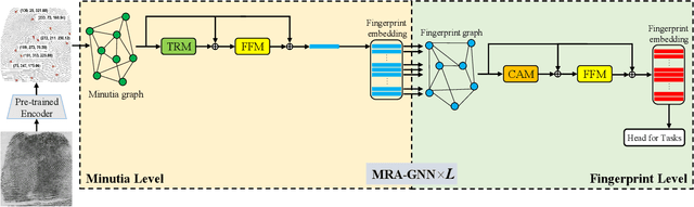 Figure 3 for MRA-GNN: Minutiae Relation-Aware Model over Graph Neural Network for Fingerprint Embedding