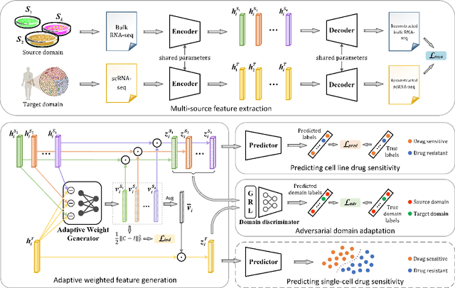 Figure 1 for Predicting Single-cell Drug Sensitivity by Adaptive Weighted Feature for Adversarial Multi-source Domain Adaptation