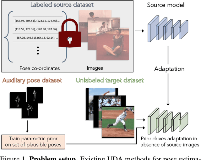 Figure 1 for Prior-guided Source-free Domain Adaptation for Human Pose Estimation