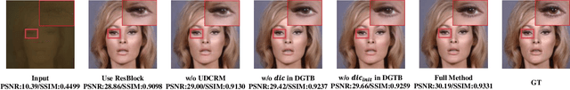 Figure 3 for Blind Face Restoration for Under-Display Camera via Dictionary Guided Transformer