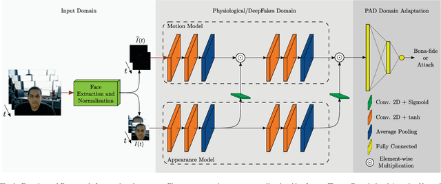 Figure 1 for PAD-Phys: Exploiting Physiology for Presentation Attack Detection in Face Biometrics