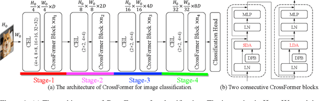 Figure 1 for CrossFormer++: A Versatile Vision Transformer Hinging on Cross-scale Attention