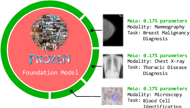 Figure 1 for MeLo: Low-rank Adaptation is Better than Fine-tuning for Medical Image Diagnosis