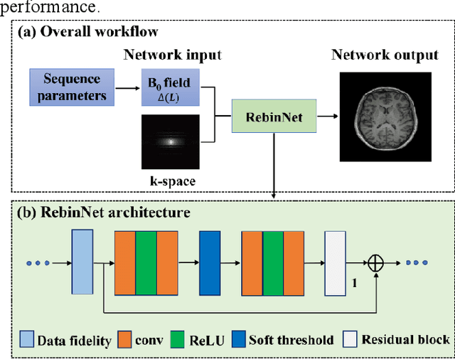 Figure 1 for Image Reconstruction with B0 Inhomogeneity using an Interpretable Deep Unrolled Network on an Open-bore MRI-Linac