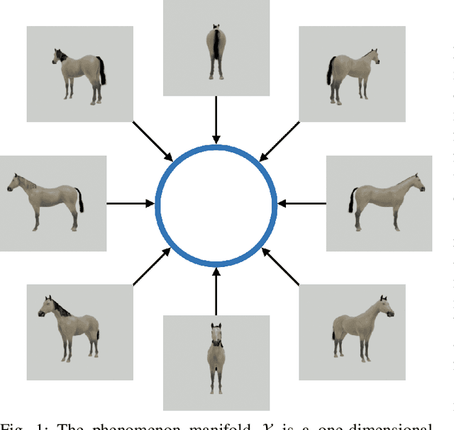 Figure 1 for On Manifold Learning in Plato's Cave: Remarks on Manifold Learning and Physical Phenomena