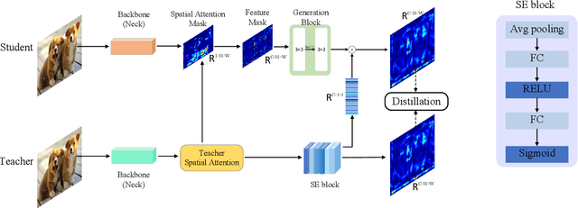 Figure 2 for AMD: Adaptive Masked Distillation for Object