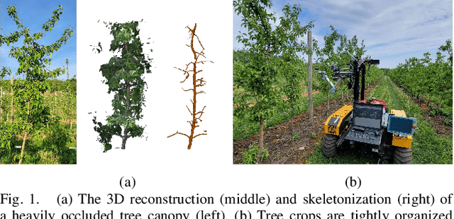 Figure 1 for Occlusion Reasoning for Skeleton Extraction of Self-Occluded Tree Canopies
