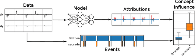 Figure 1 for Bridging the Gap: Gaze Events as Interpretable Concepts to Explain Deep Neural Sequence Models
