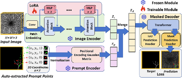 Figure 1 for SAM-OCTA: A Fine-Tuning Strategy for Applying Foundation Model to OCTA Image Segmentation Tasks
