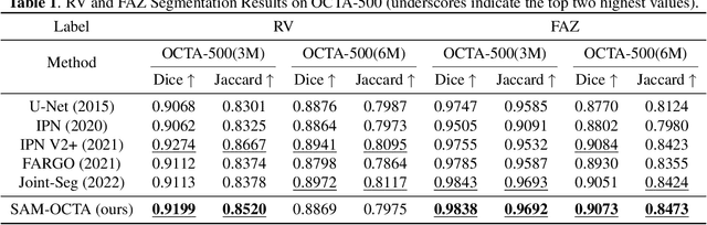 Figure 2 for SAM-OCTA: A Fine-Tuning Strategy for Applying Foundation Model to OCTA Image Segmentation Tasks