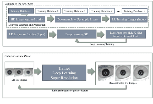 Figure 1 for Iris super-resolution using CNNs: is photo-realism important to iris recognition?