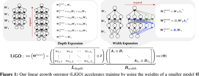 Figure 1 for Learning to Grow Pretrained Models for Efficient Transformer Training