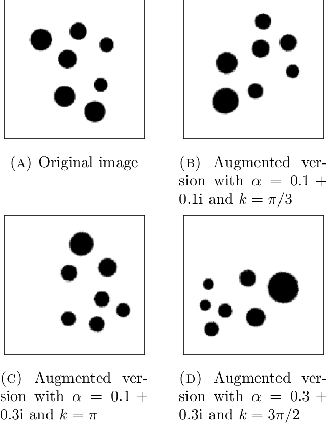 Figure 2 for Image augmentation with conformal mappings for a convolutional neural network