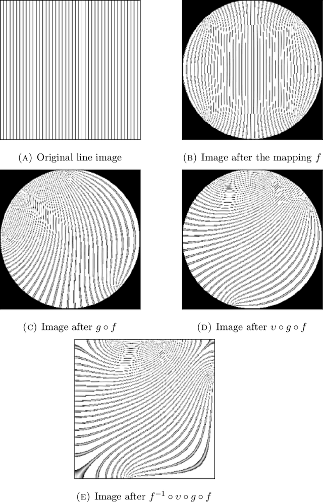 Figure 1 for Image augmentation with conformal mappings for a convolutional neural network