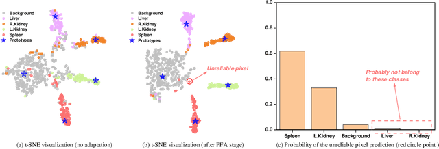 Figure 1 for Source-Free Domain Adaptation for Medical Image Segmentation via Prototype-Anchored Feature Alignment and Contrastive Learning