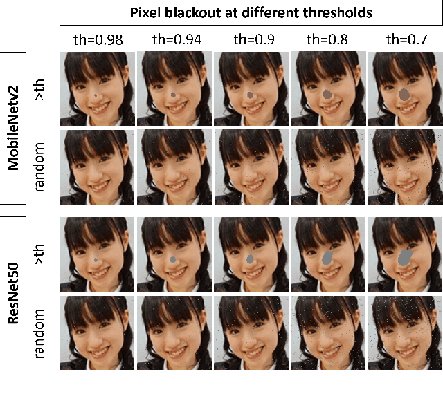 Figure 3 for An Explainable Model-Agnostic Algorithm for CNN-based Biometrics Verification