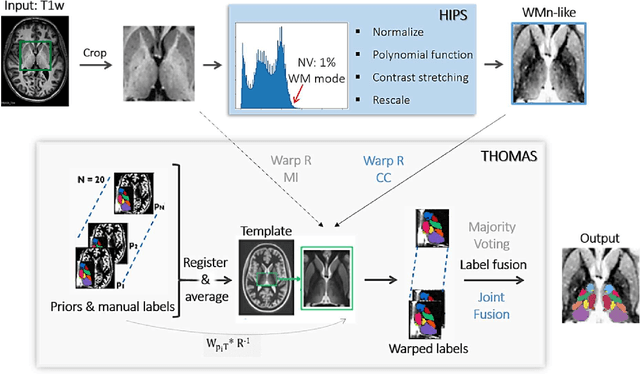 Figure 1 for Robust thalamic nuclei segmentation from T1-weighted MRI