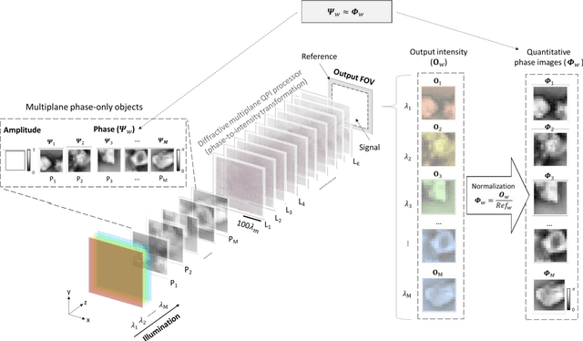 Figure 1 for Multiplane Quantitative Phase Imaging Using a Wavelength-Multiplexed Diffractive Optical Processor