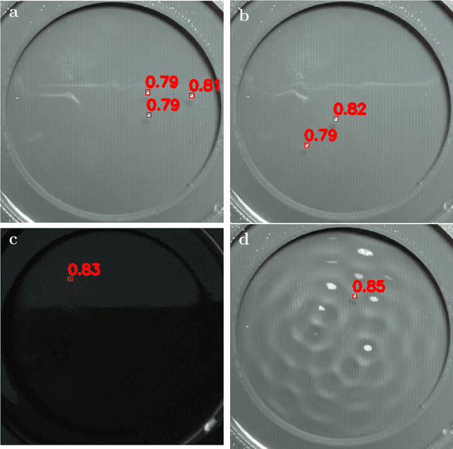 Figure 4 for Deep Learning Based Object Tracking in Walking Droplet and Granular Intruder Experiments