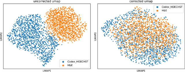 Figure 3 for Multimodal Pathology Image Search Between H&E Slides and Multiplexed Immunofluorescent Images