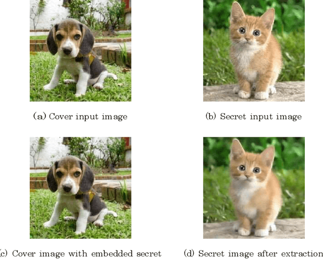 Figure 1 for Forensic Video Steganalysis in Spatial Domain by Noise Residual Convolutional Neural Network