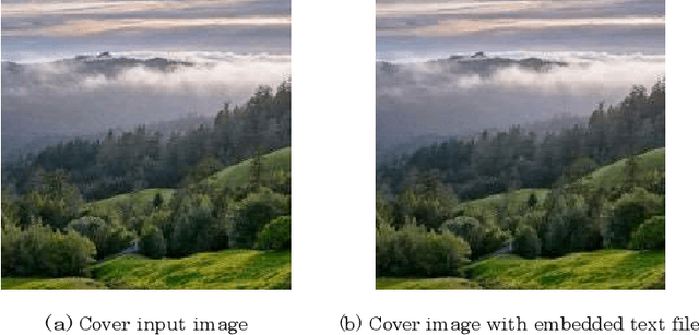 Figure 3 for Forensic Video Steganalysis in Spatial Domain by Noise Residual Convolutional Neural Network