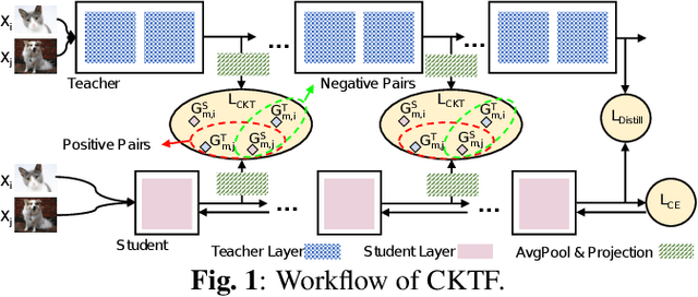 Figure 1 for A Contrastive Knowledge Transfer Framework for Model Compression and Transfer Learning