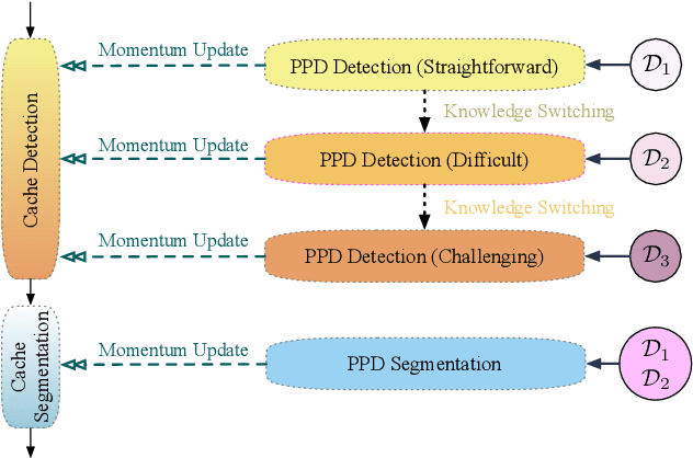 Figure 1 for Curriculum Knowledge Switching for Pancreas Segmentation
