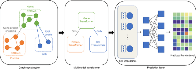 Figure 1 for Single-Cell Multimodal Prediction via Transformers