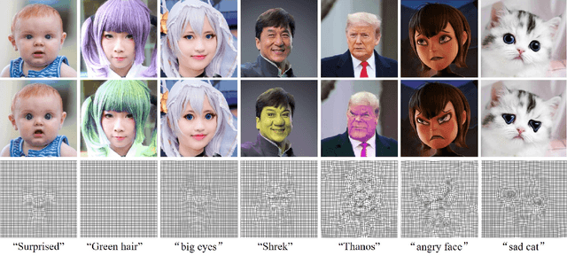 Figure 1 for Zero-shot Text-driven Physically Interpretable Face Editing