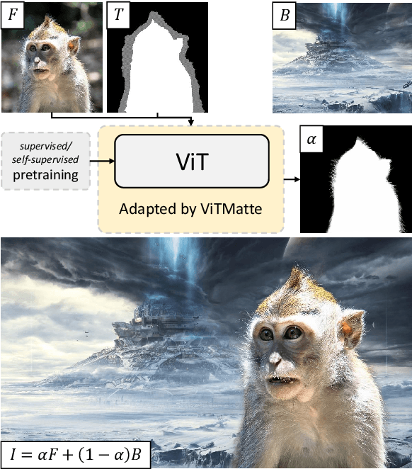 Figure 1 for ViTMatte: Boosting Image Matting with Pretrained Plain Vision Transformers