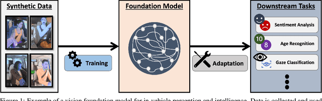 Figure 1 for Towards In-Vehicle Multi-Task Facial Attribute Recognition: Investigating Synthetic Data and Vision Foundation Models