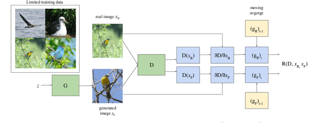 Figure 3 for DigGAN: Discriminator gradIent Gap Regularization for GAN Training with Limited Data