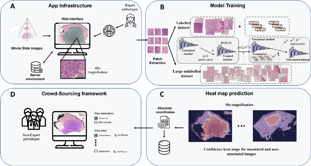 Figure 2 for HistoColAi: An Open-Source Web Platform for Collaborative Digital Histology Image Annotation with AI-Driven Predictive Integration