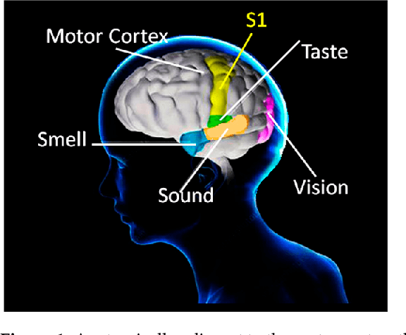 Figure 1 for Spatiotemporal modeling of grip forces captures proficiency in manual robot control