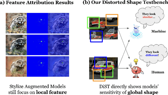 Figure 1 for Does resistance to Style-Transfer equal Shape Bias? Evaluating Shape Bias by Distorted Shape