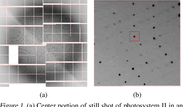 Figure 1 for Self-Supervised Deep Learning for Model Correction in the Computational Crystallography Toolbox