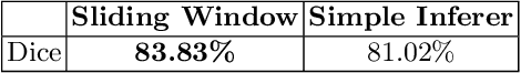 Figure 2 for AutoPET Challenge 2023: Sliding Window-based Optimization of U-Net