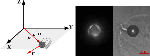 Figure 1 for Learning for Control of Rolling ubots