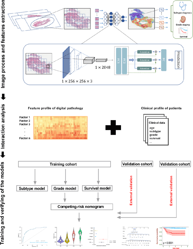 Figure 3 for Artificial intelligence for diagnosing and predicting survival of patients with renal cell carcinoma: Retrospective multi-center study