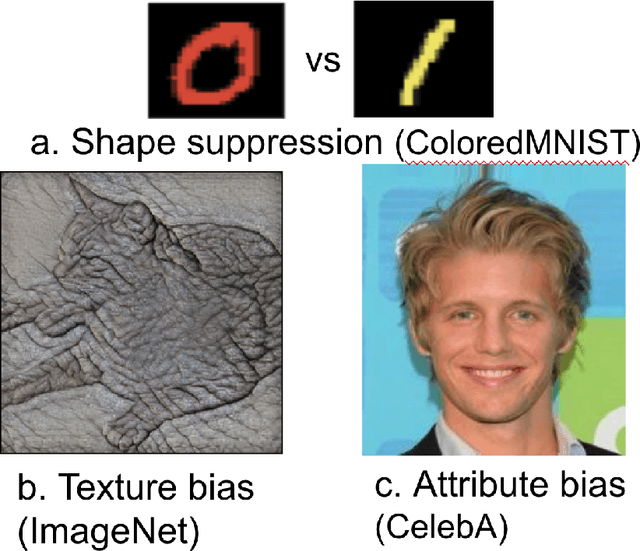 Figure 1 for Sifer: Overcoming simplicity bias in deep networks using a feature sieve